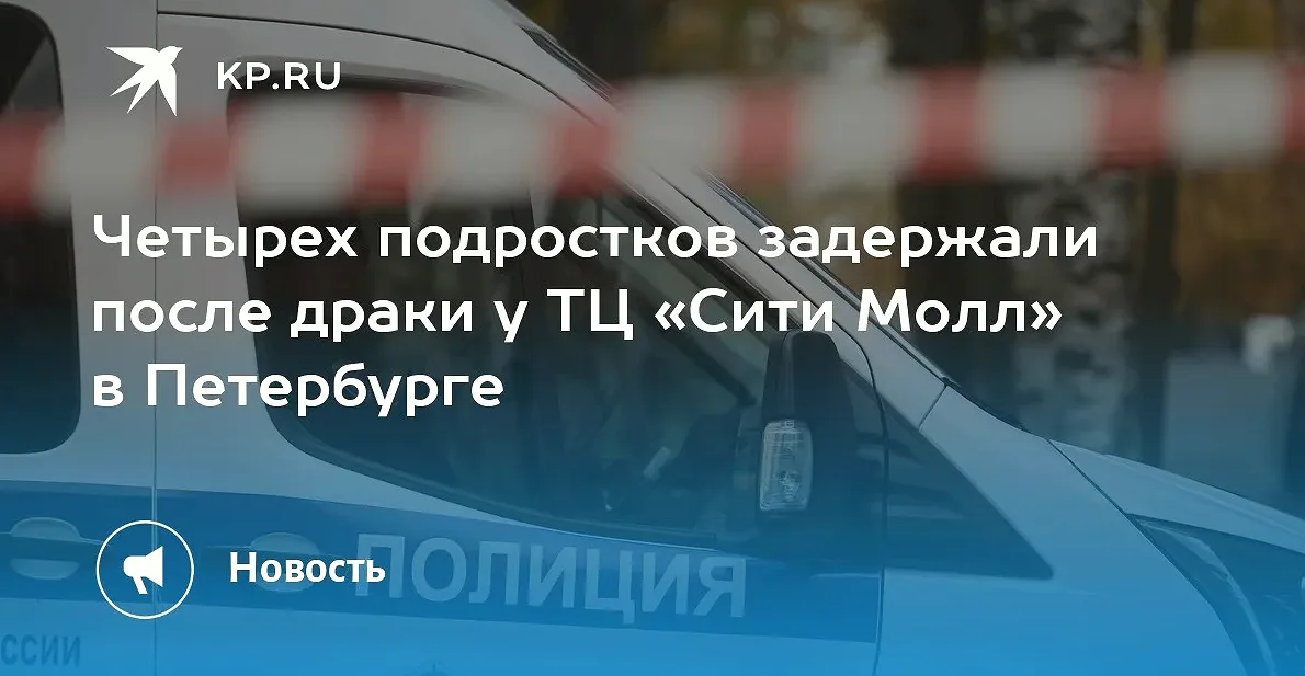 В Петербурге число задержанных после драки у ТЦ выросло до шести