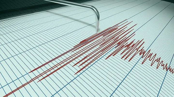 У Северных Курил зарегистрировали землетрясение магнитудой 5