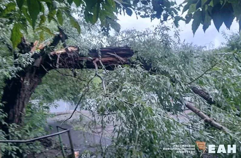 В Свердловской области 20 октября ожидаются порывы ветра до 28 м/с